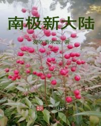 南極新大陸