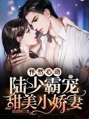怦然心動：陸少霸寵甜美小嬌妻